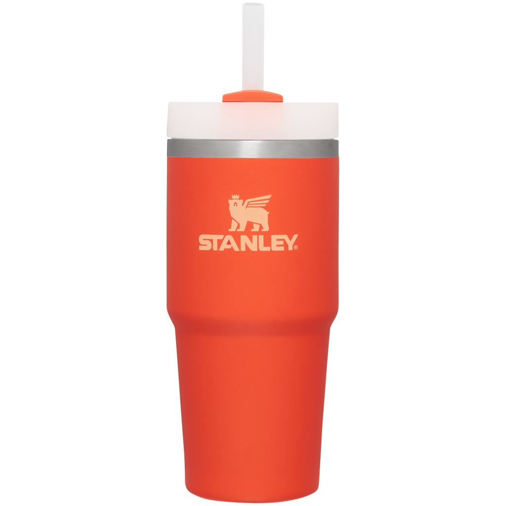 The Quencher H2.0 FlowState™ Tumbler  | 14 OZ - Stanley Create