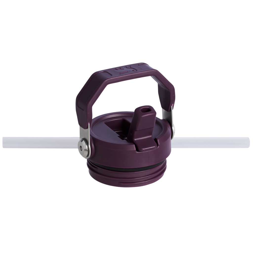 The IceFlow™ Bottle with Flip Straw Lid | 24 OZ