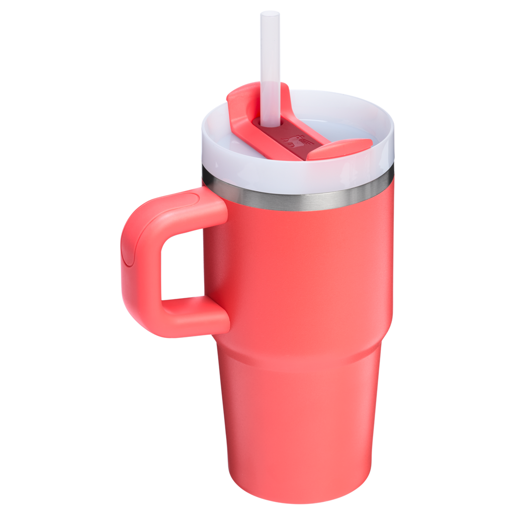 The Quencher H2.O FlowState™ Tumbler with Handle | 20 OZ - Stanley Create