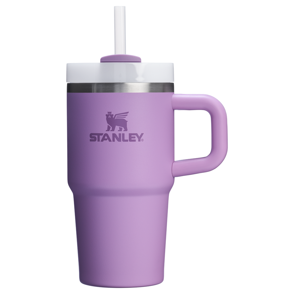 The Quencher H2.O FlowState™ Tumbler with Handle | 20 OZ - Stanley Create